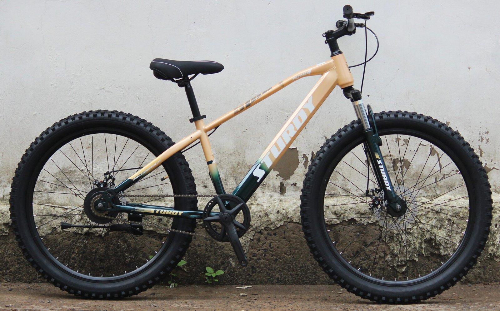 STURDY BIKES MOUT MTB WITH DUAL DISC BRAKES FRONT SUSPENSION - Image 5