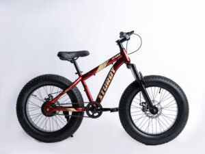 STURDY BIKES FAT MOUNTAIN MTB WITH DUAL DISC BRAKES SINGLE SPEED