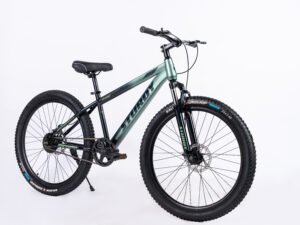 STURDY BIKES EVELAN MTB WITH DUAL DISC BRAKES FRONT SUSPENSION