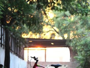 STURDY BIKES KIDS MOUT MTB WITH DUAL DISC BRAKES FRONT SUSPENSION